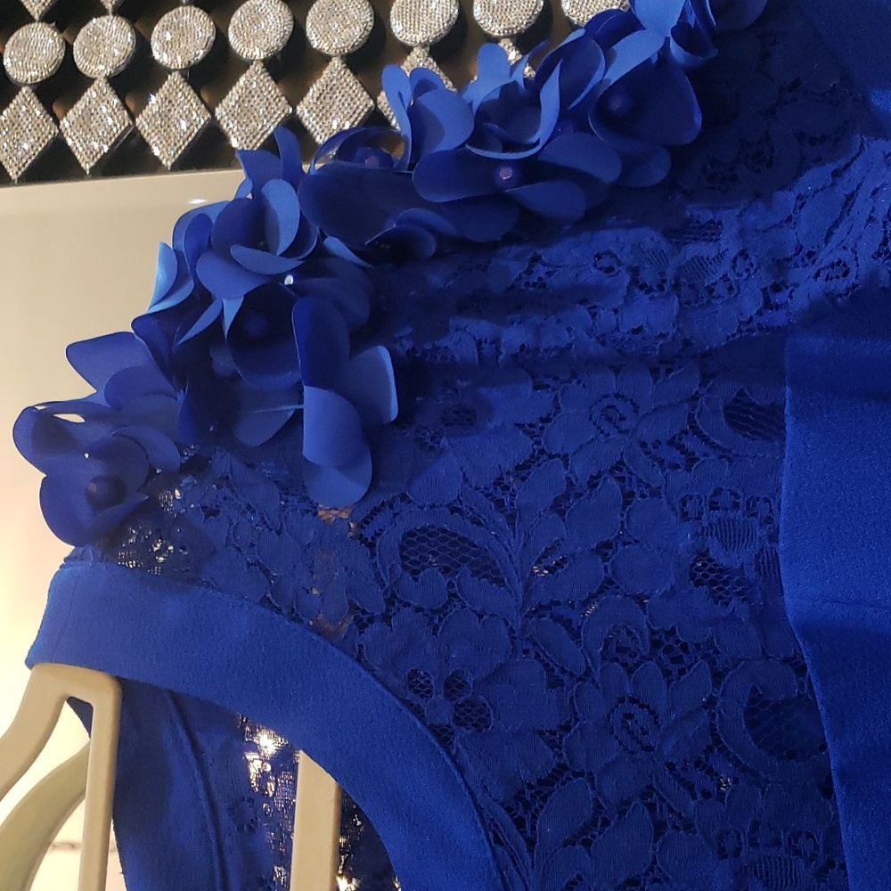 Nwt Shani coctail dress ๐ 14 blue - Picture 13 of 17
